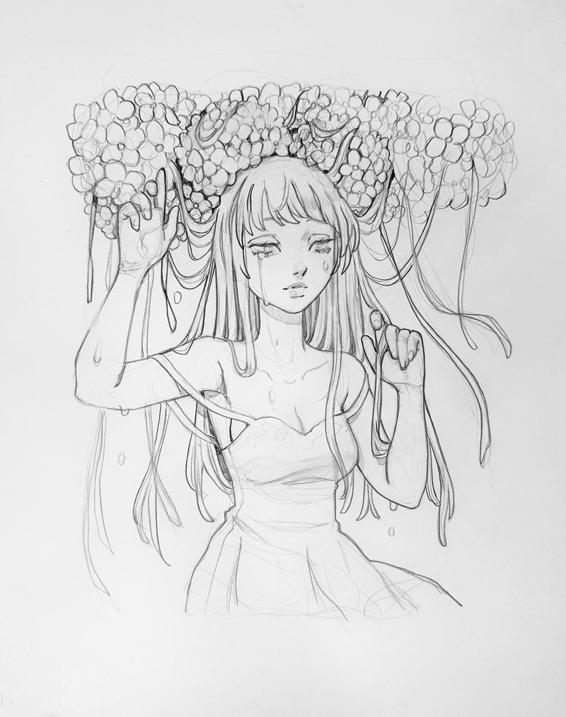 Hydrangea Original Sketch