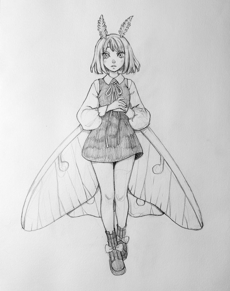 Luna Moth Original Sketch