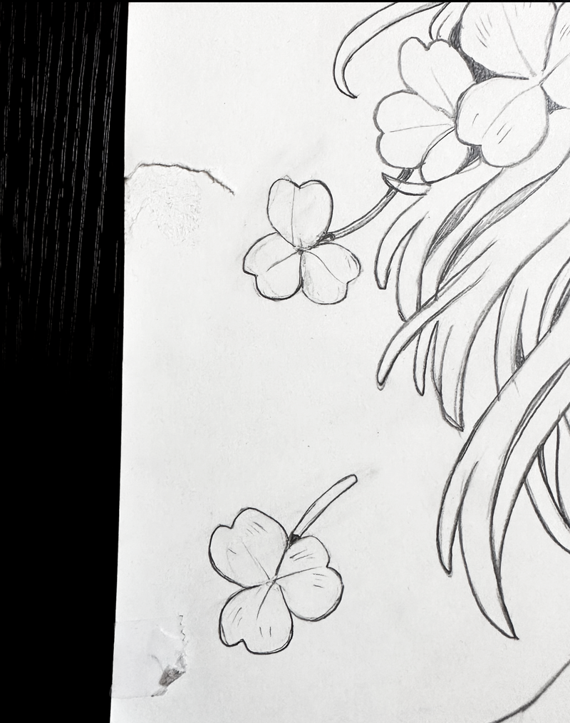 'Clover Crown' Original artbook tutorial drawing