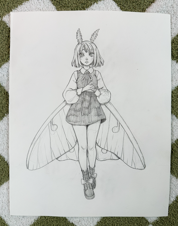 Luna Moth Original Sketch